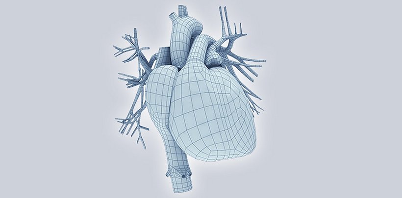 Sydän ja kardiologia