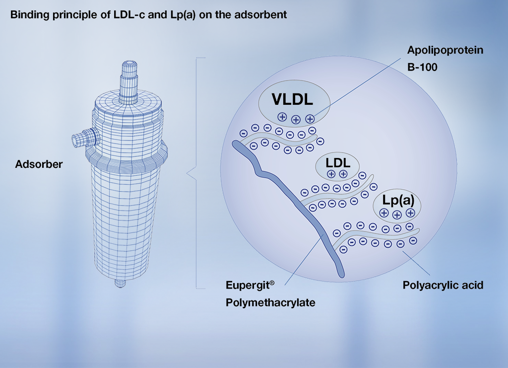 DALI-adsorberin lipoproteiinien sitominen