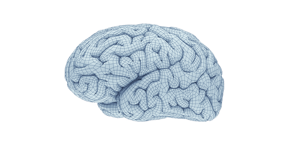 Aivot ja neurologia